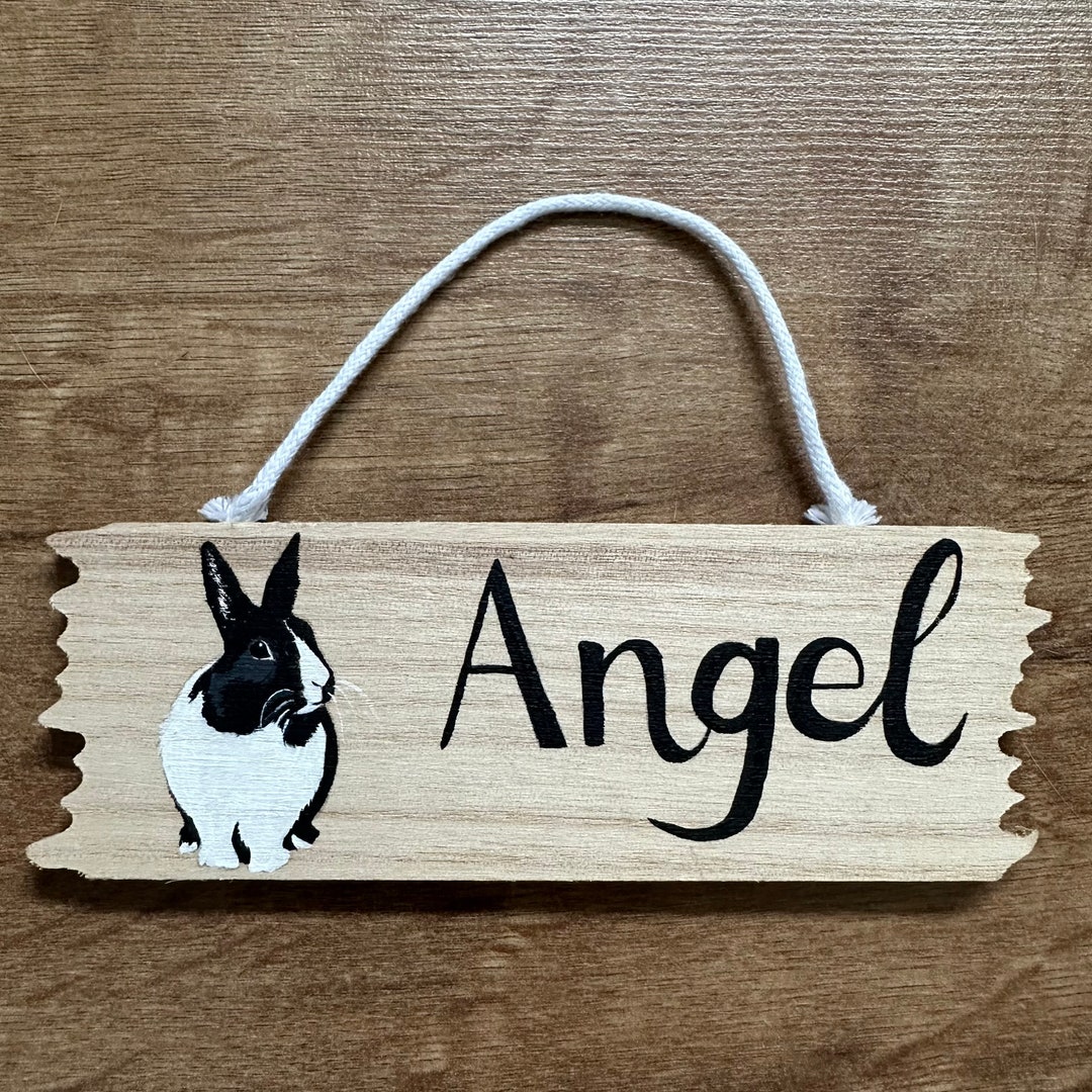 Hand Painted Personalised Rabbit Hutch Wooden Plaque Garden/home ...