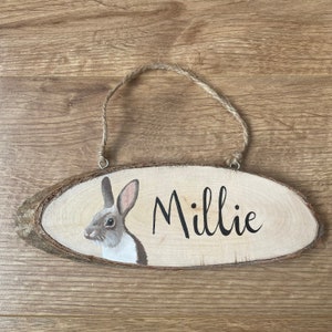 Hand Painted Personalised Rabbit Hutch/Hamster/Guinea Pig/Dog/Cat Wooden Plaque Garden/Home Hanging Decoration - Bunny - Pet