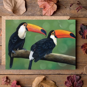 Carte de toucan 7 x 5 po. - belle carte d'animal - vierge à l'intérieur - carte de voeux d'oiseau tropical - carte de nature de forêt tropicale