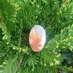 May include: A silver ring with a large oval-shaped agate stone. The agate is a light brown color with white and orange patterns.