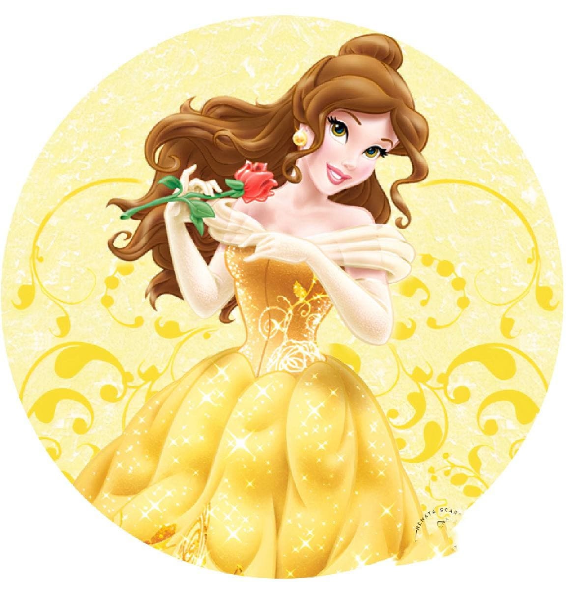 PRINTED CUSTOM princess belle Deco Kit Round fabric backdrop | Etsy