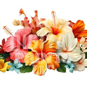 Hibiscus, Hawaiian Flower, Digital Download, Hibiscus Flowers, Hawaiian Flowers, Hibiscus Flower, Tropical Flowers, Realistic Hibiscus