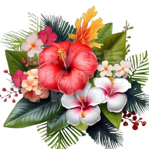 Watercolor Hibiscus Flowers,  Digital Download, Hibiscus Clipart, Hawaiian Flowers, Hibiscus, Flower Clipart, Tropical Flowers, Hibiscus PNG