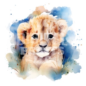 Watercolor Baby Lion, Digital Download, Baby Lion, Lion Cub, Baby Lion Clipart, Watercolor Clipart, Baby Lion PNG, Nursery Wall Art, Lion