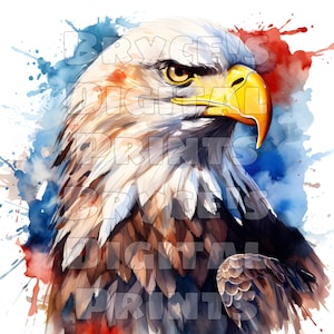 Aquarell Amerikanischer Weißkopfseeadler Digitaler Download Amerikanischer Weißkopfseeadler Bald Eagle Clipart Aquarell Adler Amerikanischer Adler Weißkopfseeadler PNG