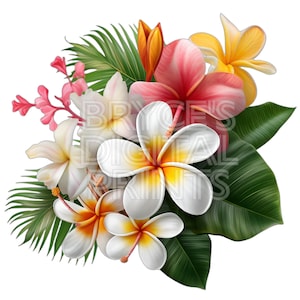 Plumeria, Digital Download, Hawaiian Flower, Plumeria Flowers, Hawaiian Flowers, Hibiscus Flowers, Tropical Flowers, Sublimation Designs