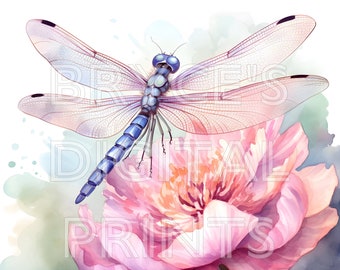 Aquarel Dragonfly, digitale download, Dragonfly clipart, aquarel clipart, aquarel libellen, Dragonfly poster, aquarel