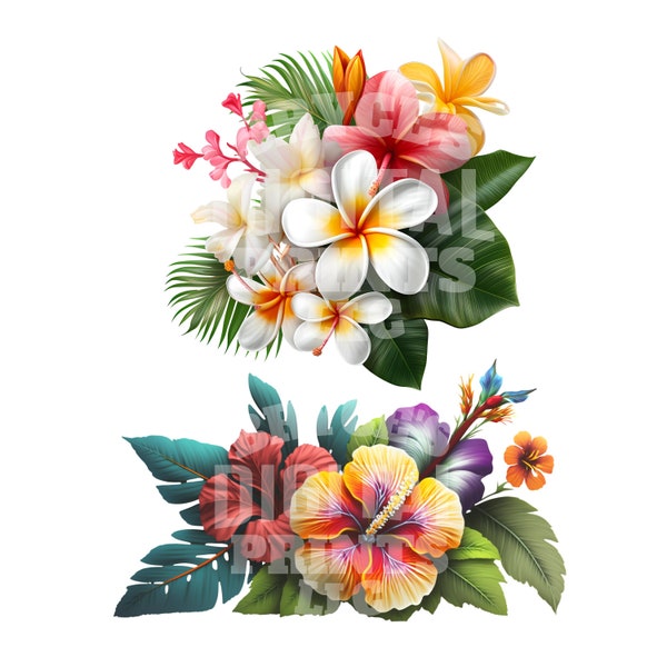 Fleurs de plumeria, fleur de plumeria, téléchargement numérique, fleurs tropicales, plumeria hawaïenne, hibiscus, fleur d'hibiscus, hibiscus hawaïen