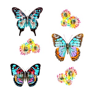 Butterfly Clipart, Digital Download, Butterfly Sublimation, Colorful Butterfly, Colorful Daisies, Sublimation, Butterfly PNG, Sublimation