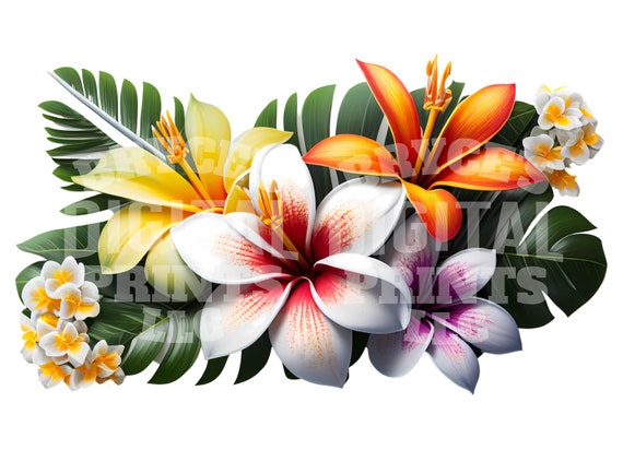 HR-WERBEDESIGN 108 Adesivi Auto Hawaii – Ibisco, Fiori, Farfalle, 8-15 Cm, Made In Germany, Sfondo Zero - 2