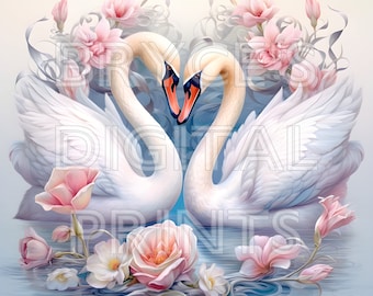 Watercolor Swan Clipart Digital Download Wedding Invitation Clipart Swan Clipart Watercolor Clipart Swans Clipart Swan PNG White Swan
