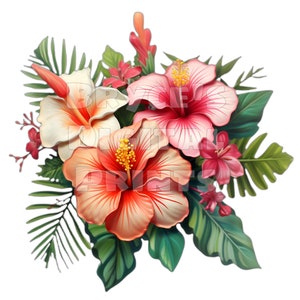 Watercolor Hibiscus Flowers,  Digital Download, Hibiscus Clipart, Hawaiian Flowers, Hibiscus, Flower Clipart, Tropical Flowers, Hibiscus PNG