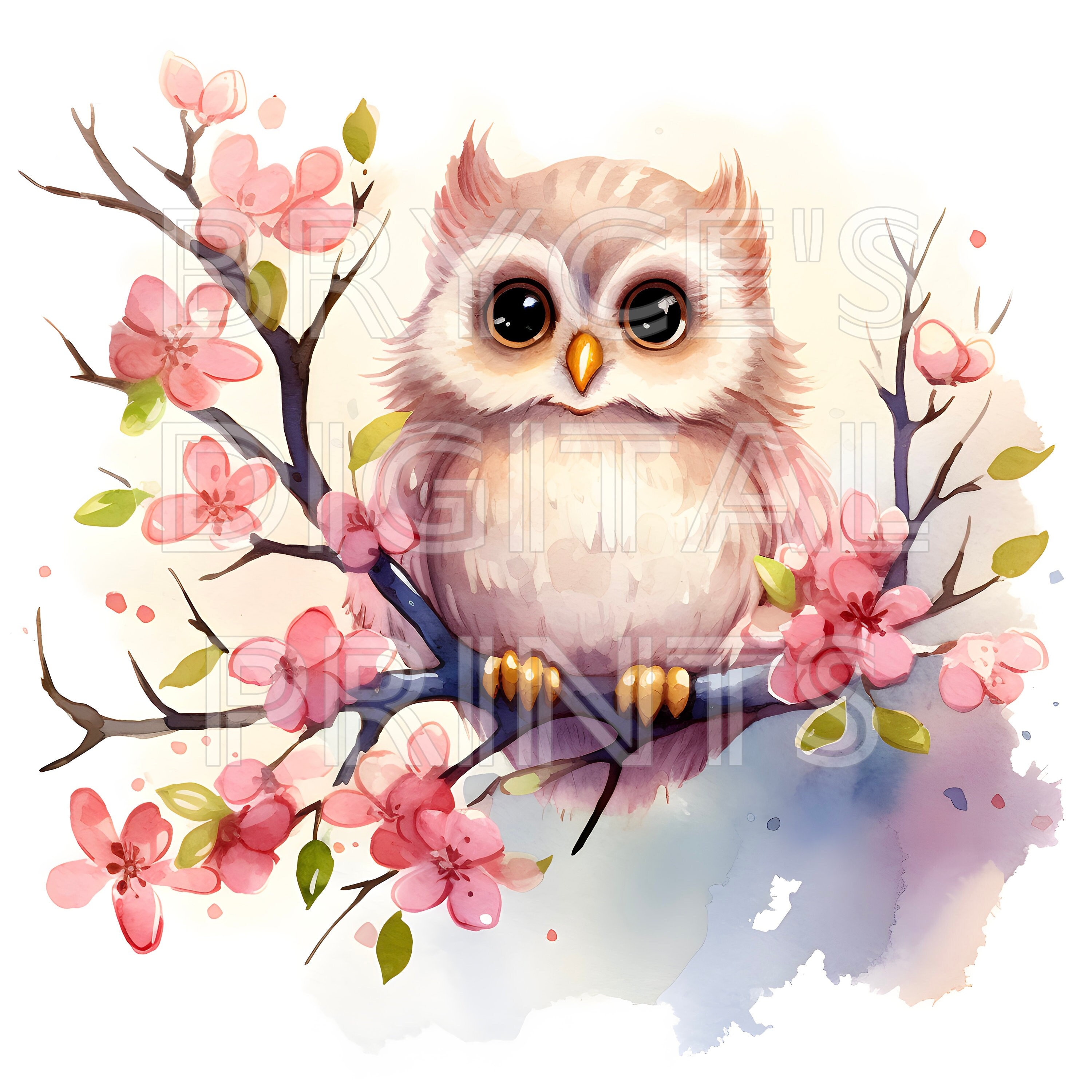 Watercolor Owl Digital Download Owl Clipart Watercolor Clipart Watercolor Owls Watercolor Sketchbook