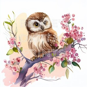 Watercolor Owl Digital Download Owl Clipart Watercolor Clipart Watercolor Owls Watercolor Sketchbook Owl Watercolor Clipart Floral Owl