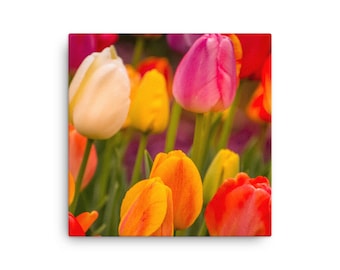 Colorful Spring Tulips Canvas Wall Art