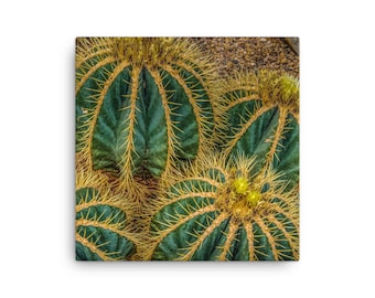 Green and Yellow Cactus Canvas Wall Art.