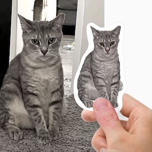 Custom cat Stickers - Hand Drawn | cat face Stickers, cat head stickers, custom kitty stickers, feline stickers, kitten stickers - drawing