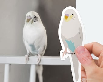 Custom Pet Bird Stickers, Custom parrot Stickers, Custom bird Stickers, macaw Stickers, parakeet sticker, cartoonize my bird - Photo drawing