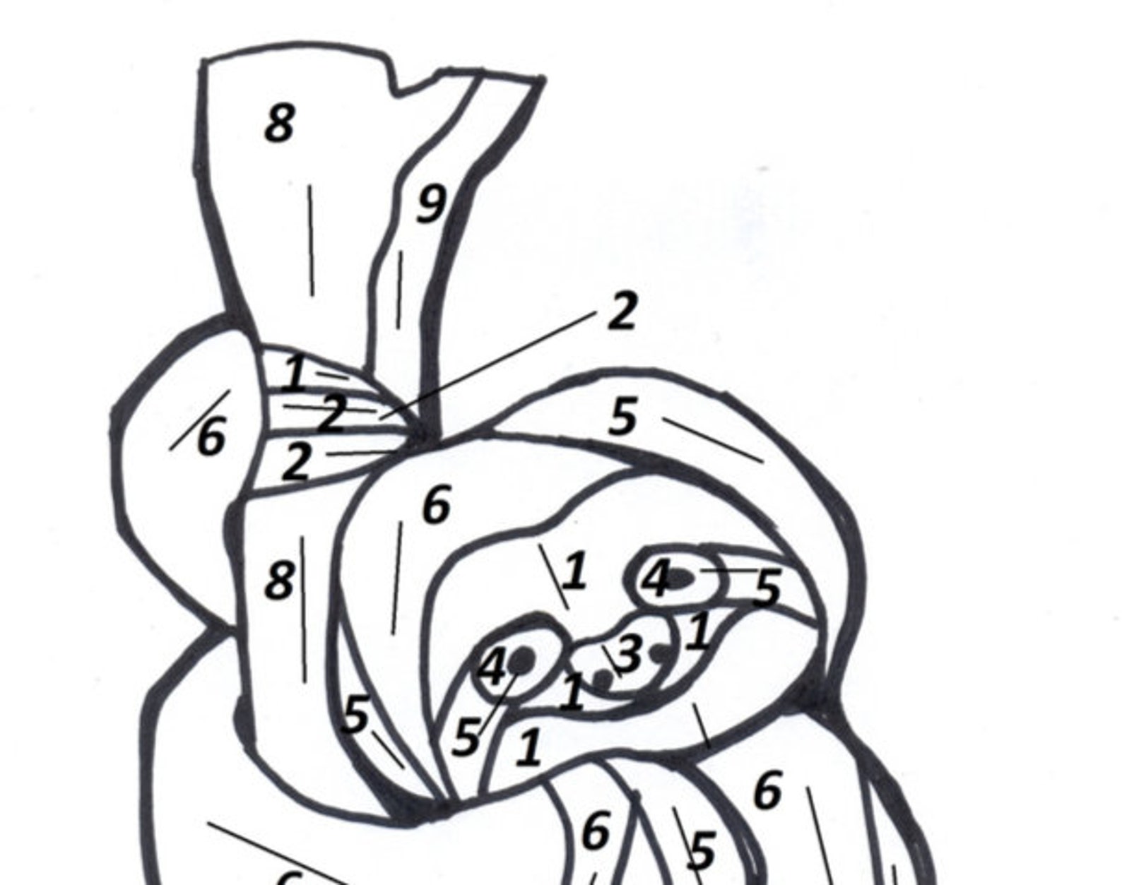 Suncatcher Pattern Sloth Stained Glass Pdf PDF Craft Pattern | Etsy