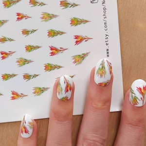 Calcomanías para uñas de leucadendron