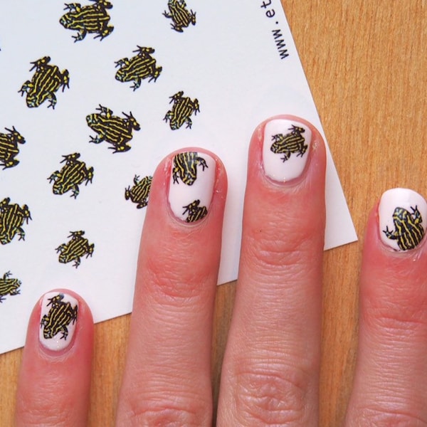 Corroboree Frog Nail Decals