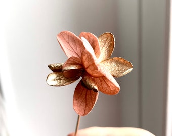 boutonnière broche fleurs stabilisées - DAISY vieux rose or