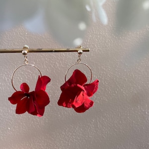 May include: A pair of gold hoop earrings with red dried flower accents. The earrings are hanging from a gold stand.