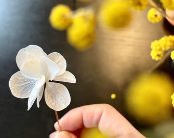 boutonnière broche fleurs stabilisées - DAISY blanc