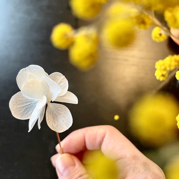 boutonnière broche fleurs stabilisées - DAISY blanc