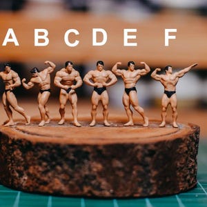 May include: Six miniature figurines of bodybuilders posed in various muscle flexing poses. The figurines are arranged in a row on a wooden platform. The figurines are all wearing black swimsuits. The letters A through F are printed above the figurines.