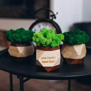 Konservierter Moos-Blumentopf mit personalisiertem Text - Büro-Schreibtisch-Dekor & kleines Geschenk für Mitarbeiter