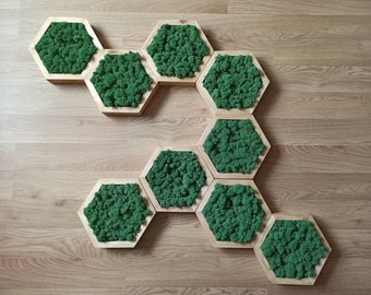 Wandmoos Etsy