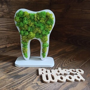 K&ouml;nnte beinhalten: Ein wei&szlig;es, zahnf&ouml;rmiges Dekorationsobjekt, gef&uuml;llt mit gr&uuml;nem Moos. Der Zahn steht auf einem wei&szlig;en Sockel vor einem dunklen Holzgrund. Die Holzbuchstaben bilden das Wort "Rudeco Wood".