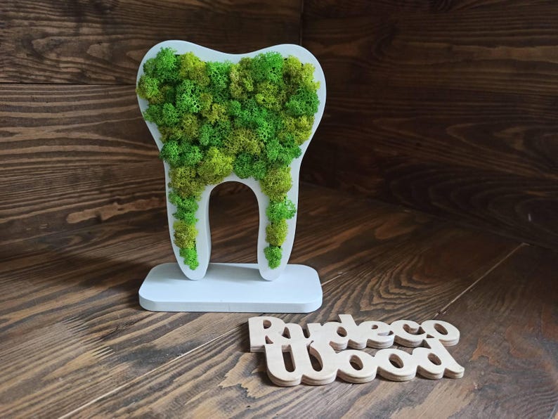 K&ouml;nnte beinhalten: Ein wei&szlig;es, zahnf&ouml;rmiges Dekorationsobjekt, gef&uuml;llt mit gr&uuml;nem Moos. Der Zahn steht auf einem wei&szlig;en Sockel vor einem dunklen Holzgrund. Die Holzbuchstaben bilden das Wort "Rudeco Wood".