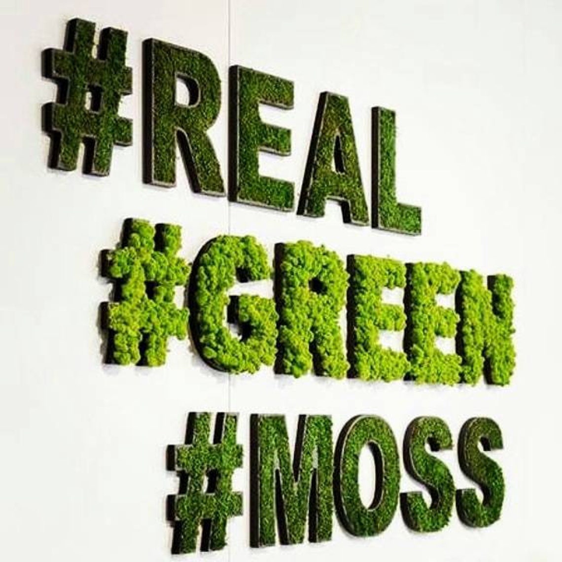 Moss Company Logo Moss Wall Art Real Moss Custom Logo Sign Etsy