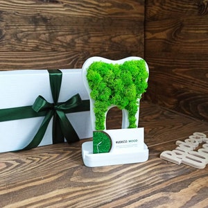 Kundenspezifischer Kartenhalter Mooszahn Kieferorthopäde Geschenk Visitenkartenständer Zahnhalter Personalisierter Kartenhalter
