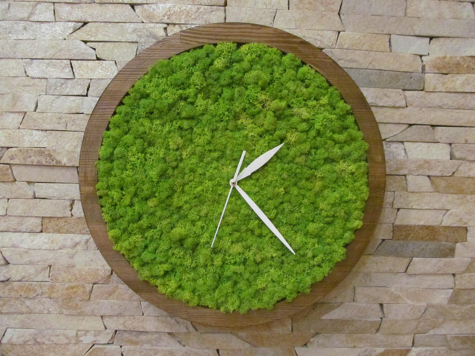 Moss Clock Wooden Eco Clock With Preserved Moss Wall Clock | Etsy