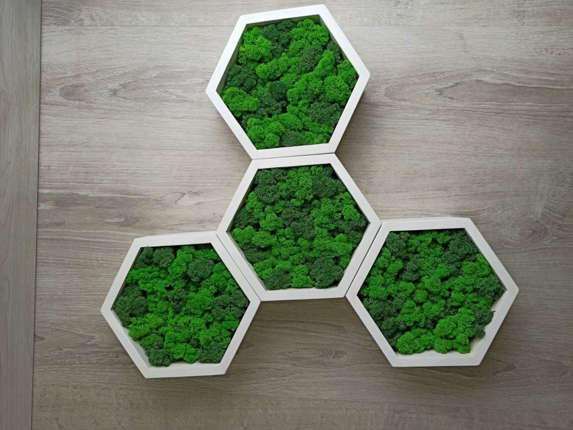 Moss Honeycomb Wall Art, Wood Hexagon Moss Frame, Green Wall Decor Panel, Honeycomb Moss Art for Home or Office, Housewarming gift