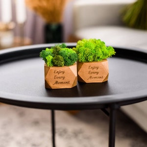 Moos im Holzpflanzer, Hochzeitstischdekoration, minimalistisches geometrisches Pflanzenarrangement, umweltfreundliches Geschenk, Moos für Haus- oder Hochzeitsdekoration