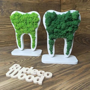 K&ouml;nnte beinhalten: Zwei wei&szlig;e, zahnf&ouml;rmige Skulpturen mit gr&uuml;nem Moos, das die Oberseite ausf&uuml;llt. Die Skulpturen stehen auf wei&szlig;en Sockeln. Das Wort "Rudeco Wood" ist in Holzbuchstaben darunter geschrieben.