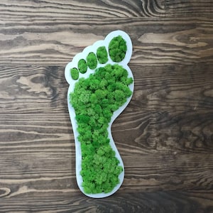 Foot Sign With Moss, Moss Wall Art, Foot Anatomy Art, Podiatry Gifts for Foot Doctor, Podiatry Office Art, Gifts for Podiatry Office