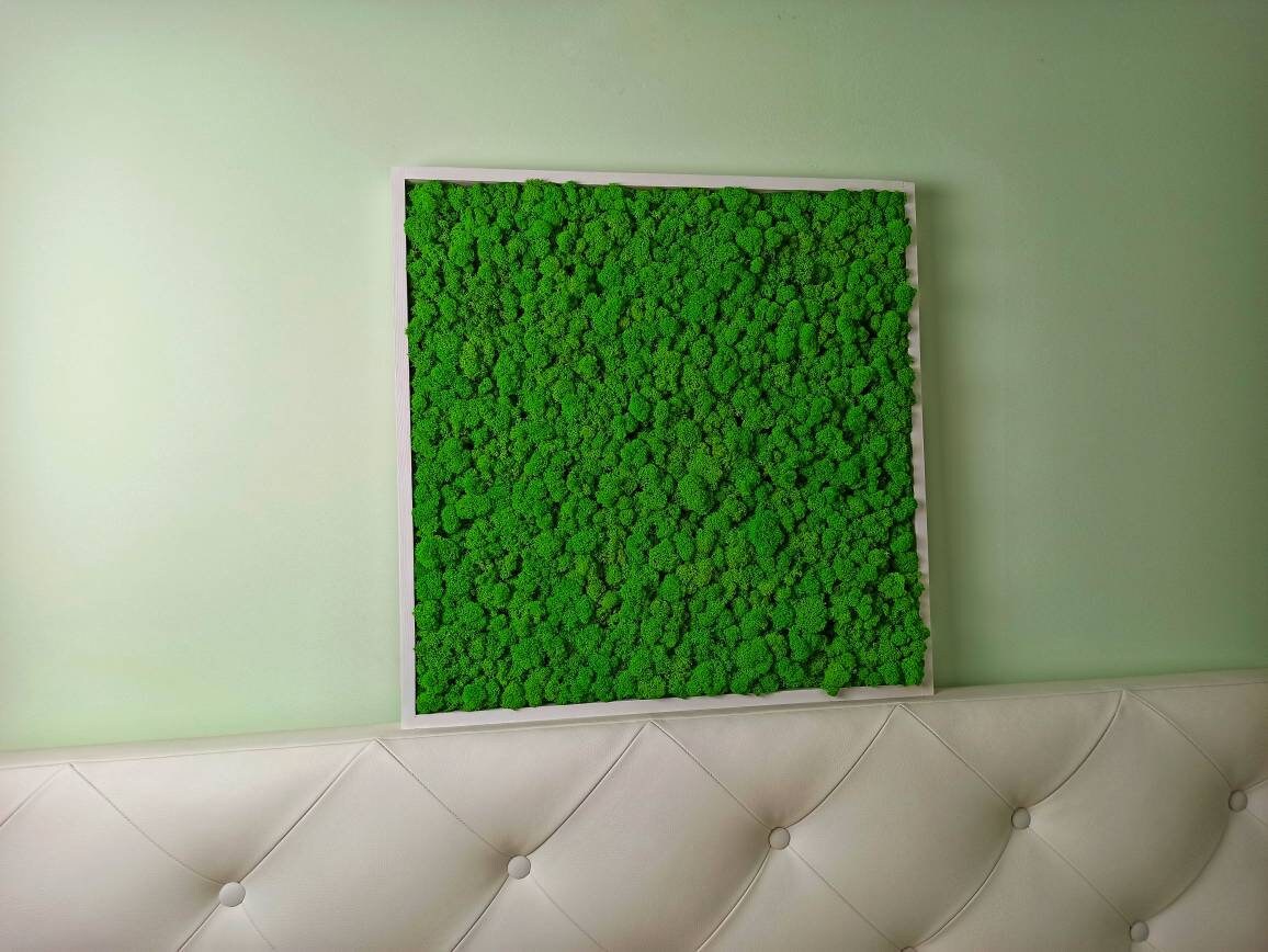 Green moss wall decor Nature modern home decor vertical garden Etsy