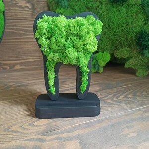 K&ouml;nnte beinhalten: Eine schwarze, zahnf&ouml;rmige Skulptur, gef&uuml;llt mit leuchtend gr&uuml;nem Moos. Die Skulptur steht auf einem rechteckigen Sockel. Das Moos bildet einen nat&uuml;rlichen Kontrast zu der dunklen, glatten Oberfl&auml;che des Zahns. Ein einzigartiges Dekorationsst&uuml;ck.