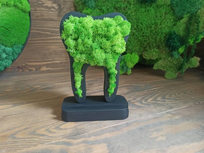 K&ouml;nnte beinhalten: Eine schwarze, zahnf&ouml;rmige Skulptur, gef&uuml;llt mit leuchtend gr&uuml;nem Moos. Die Skulptur steht auf einem rechteckigen Sockel. Das Moos bildet einen nat&uuml;rlichen Kontrast zu der dunklen, glatten Oberfl&auml;che des Zahns. Ein einzigartiges Dekorationsst&uuml;ck.