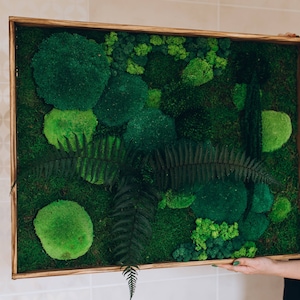Living wall art, moss wall art, Framed moss art, Moss wall hanging, Plant wall art, Greenery wall art, Indoor wall decor
