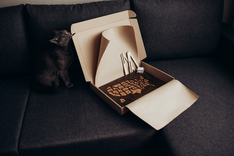 Op de afbeelding: Een kartonnen verzenddoos met een donkerbruine houten puzzel van de kaart van de Verenigde Staten. De doos bevat twee lichtgekleurde houten steunen en een kleine witte kubus. Een grijze kat zit naast de open doos.