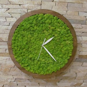 Moss Clock Wooden Eco Clock With Preserved Moss Wall Clock - Etsy