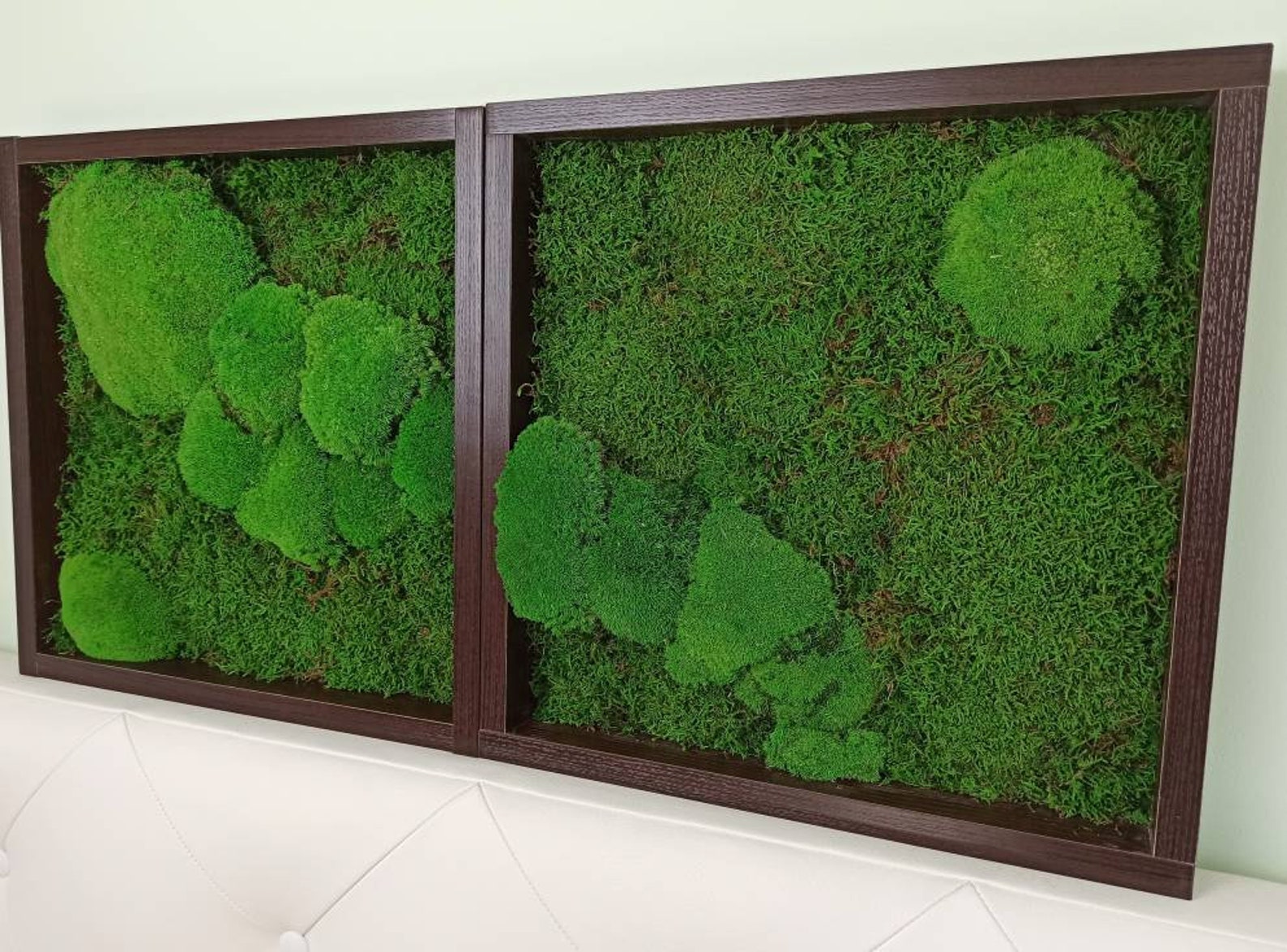 Moss Wall Art Preserved Moss Living Wall Moss Frame Live Etsy UK