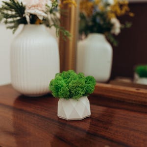 May include: A decorative arrangement featuring a small, geometric white planter filled with vibrant green moss. Two white vases with floral arrangements are in the background, set on a dark wooden surface. A mirror reflects the scene.