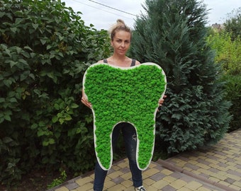 Moos-Wandbild Zahn, einzigartige Dekoration für Zahnarztpraxen, Geschenk für Zahnärzte, Kieferorthopäden und Mund-, Kiefer- und Gesichtschirurgen